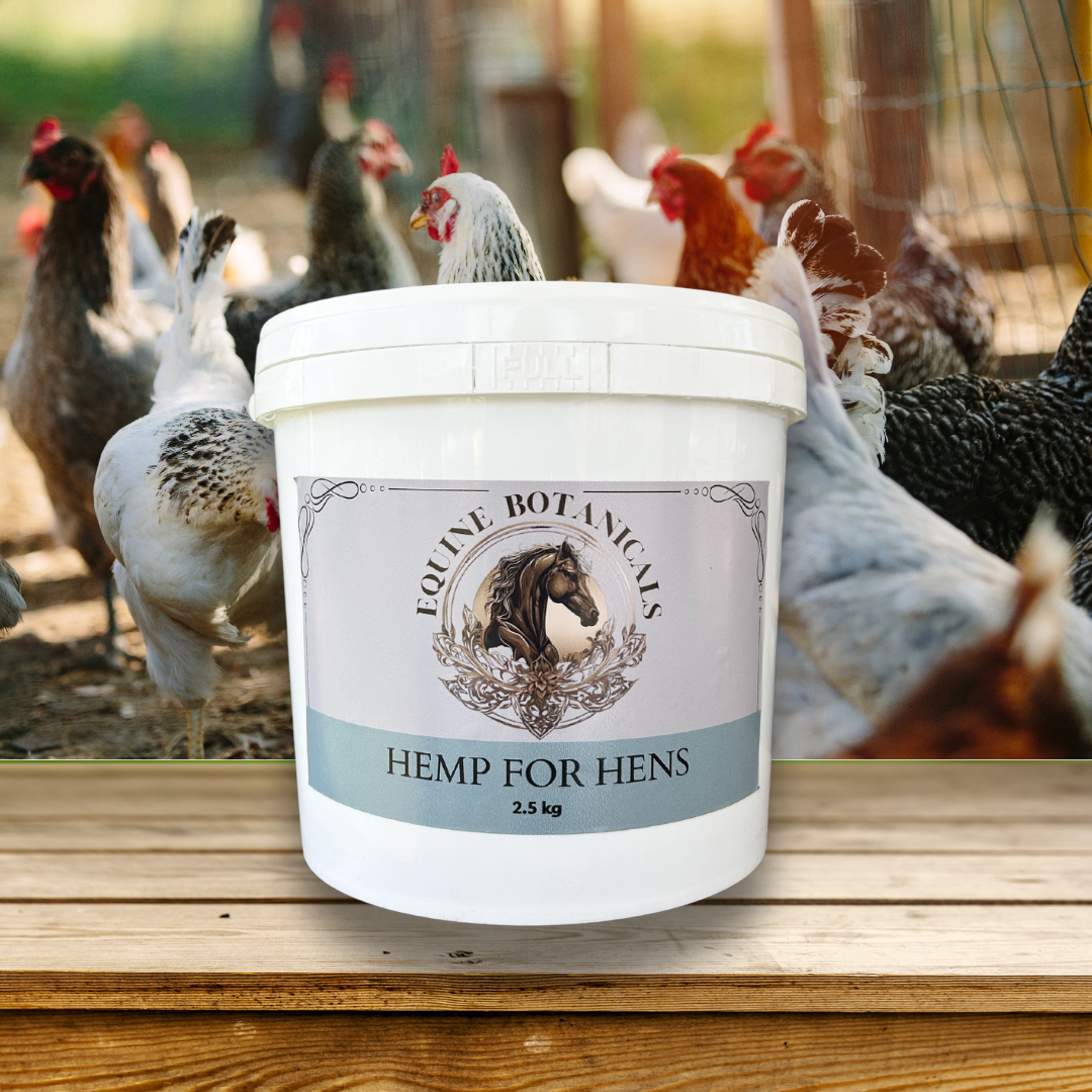 Hemp For Hens