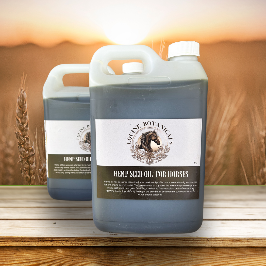 Equine Hemp Oil