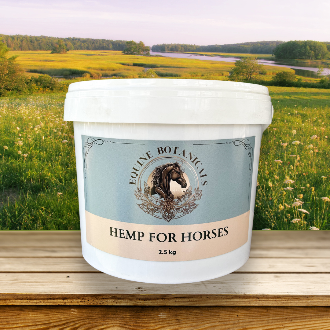 Hemp Horse