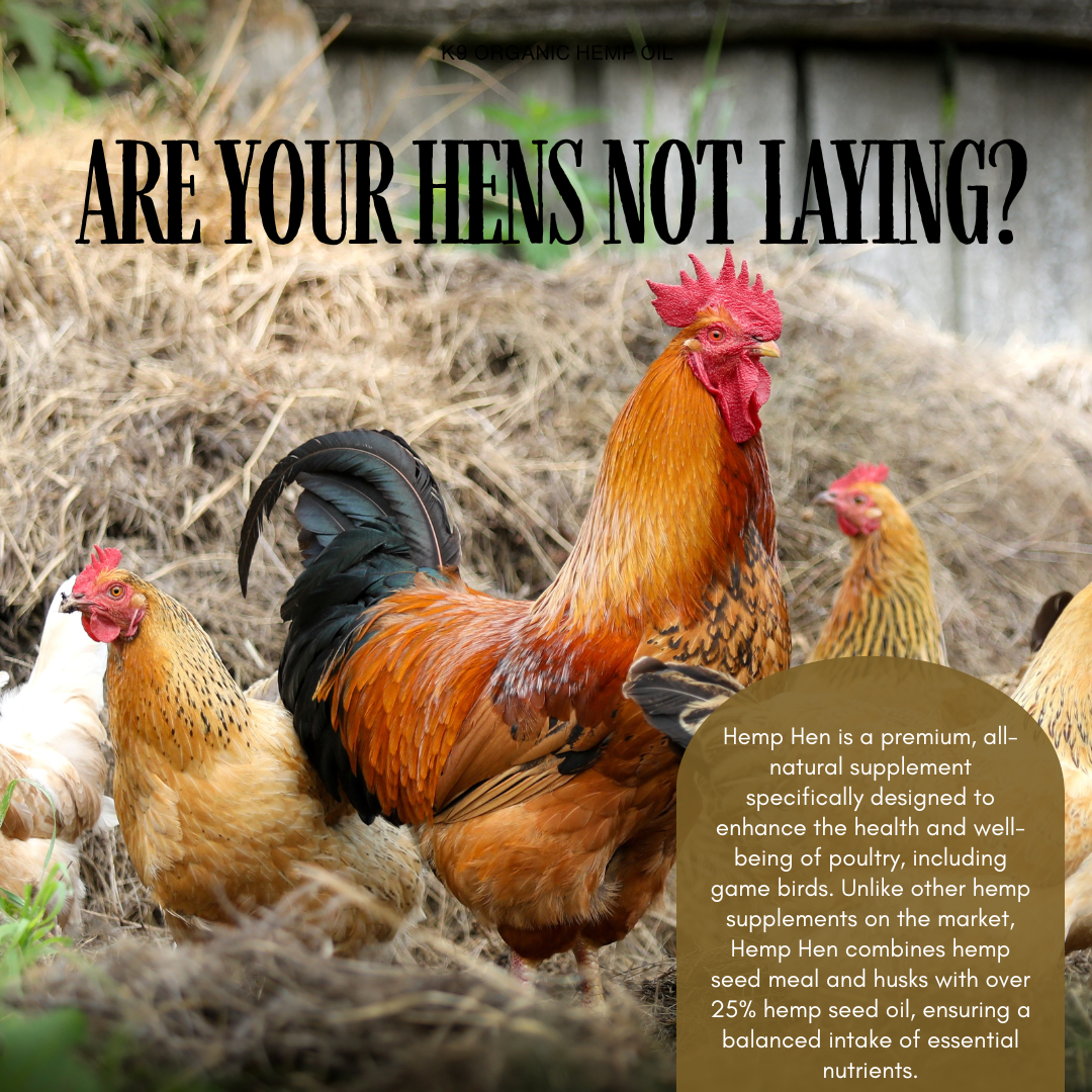 Hemp For Hens